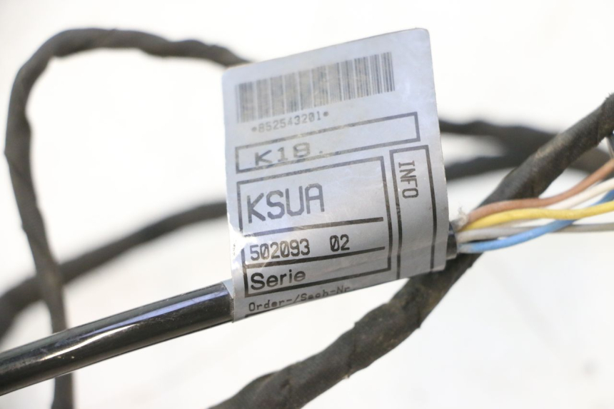 photo de WIRE HARNESS BMW C SPORT 650 (2015 - 2021) - High-resolution close-up