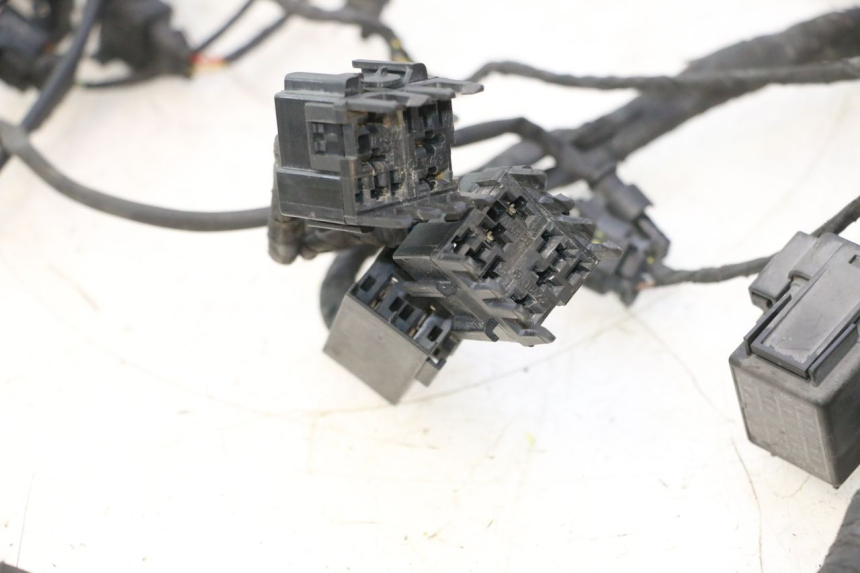 photo de WIRE HARNESS BMW C SPORT 650 (2015 - 2021) - Fixing points details