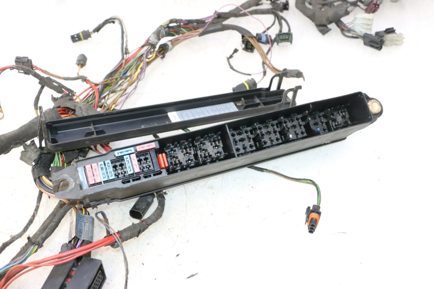 photo de WIRING HARNESS BMW C1 125 (2000 - 2003) - High-resolution close-up