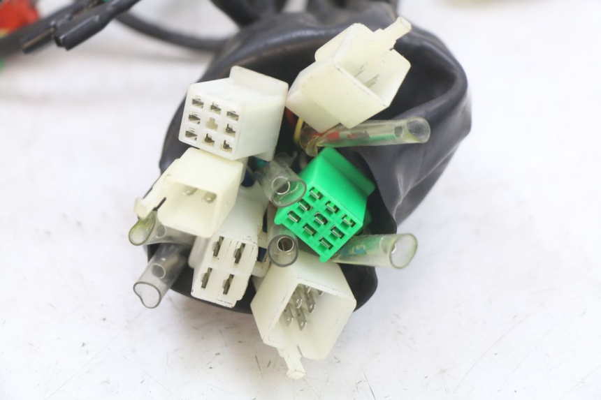 photo de WIRE HARNESS ARCHIVE CAFE RACER 4T 50 (2019 - 2024) - Alternative perspective