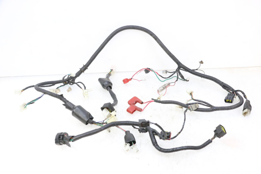 photo de WIRING HARNESS ORCAL CAVARO 4T 50 (2019 - 2023) - Main view