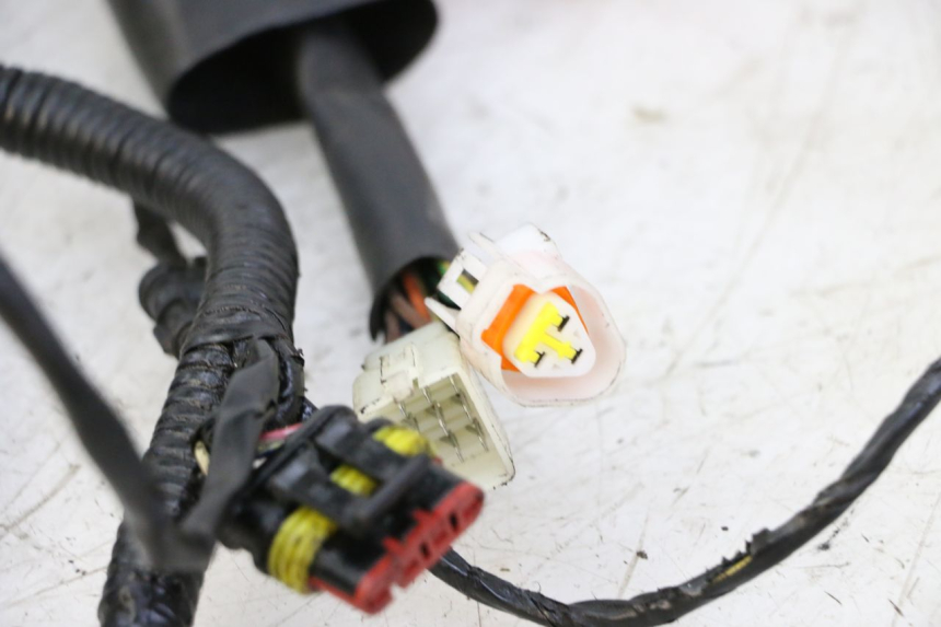 photo de WIRING HARNESS ORCAL CAVARO 4T 50 (2019 - 2023) - Component detail