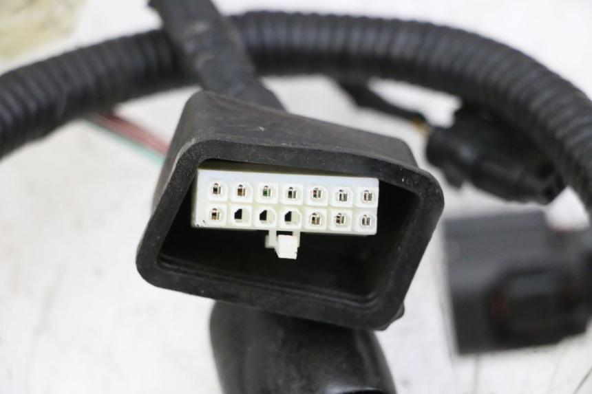 photo de WIRING HARNESS ORCAL CAVARO 4T 50 (2019 - 2023) - Zoom on usage condition