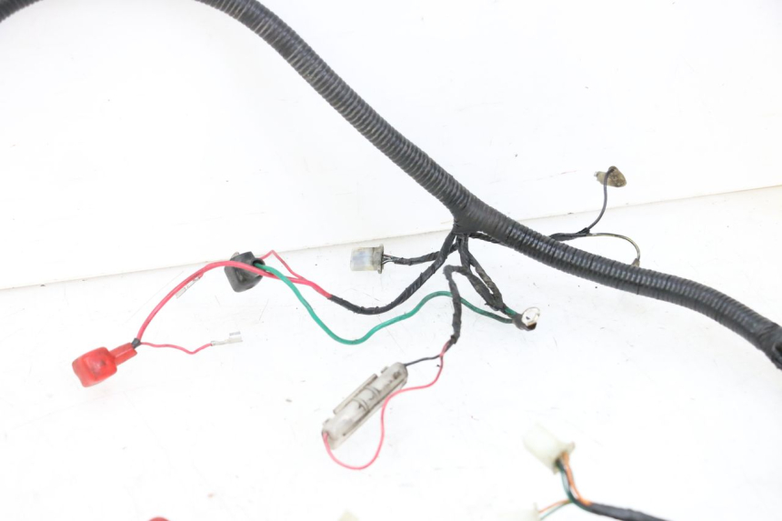 photo de WIRING HARNESS ORCAL CAVARO 4T 50 (2019 - 2023) - Technical close-up