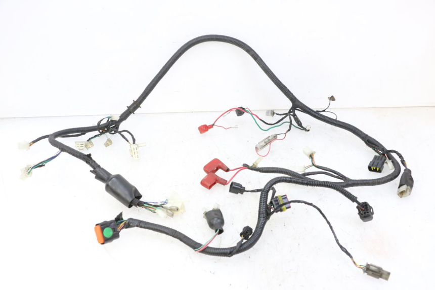 photo de WIRING HARNESS ORCAL CAVARO 4T 50 (2019 - 2023) - Product overview