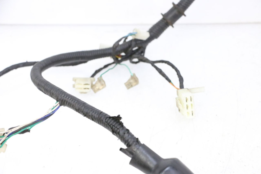 photo de WIRING HARNESS ORCAL CAVARO 4T 50 (2019 - 2023) - Surface and material condition