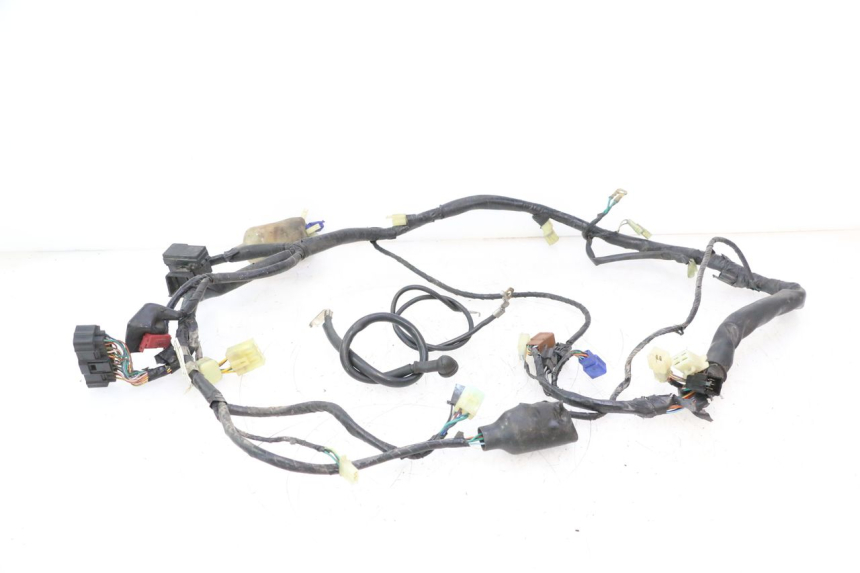 photo de WIRE HARNESS HONDA CB F HORNET 600 (2005 - 2006) - Main view