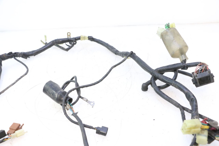 photo de WIRE HARNESS HONDA CB F HORNET 600 (2005 - 2006) - Component detail