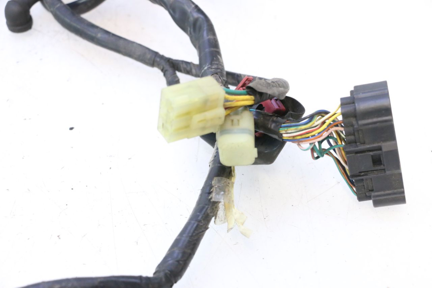 photo de WIRE HARNESS HONDA CB F HORNET 600 (2005 - 2006) - Zoom on usage condition