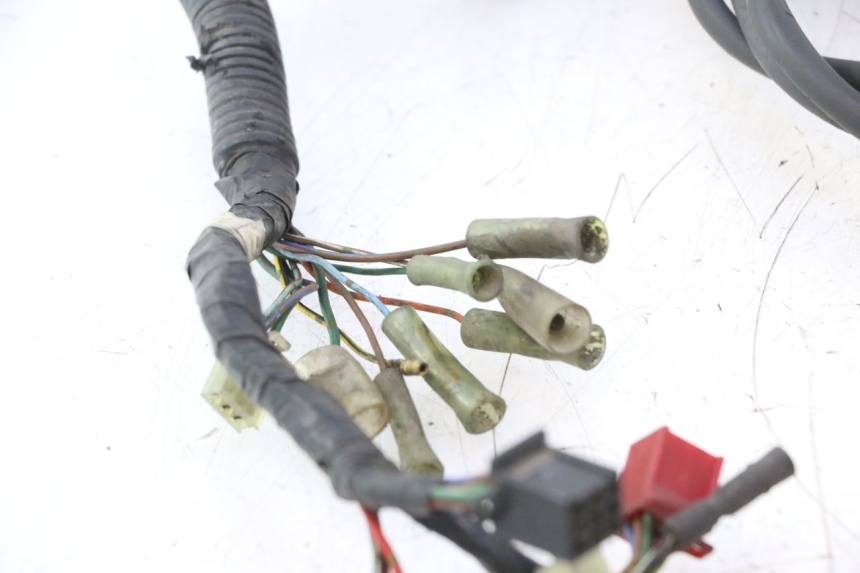 photo de WIRE HARNESS HONDA CB TWO FIFTY 250 (1991 - 2002) - Zoom on usage condition
