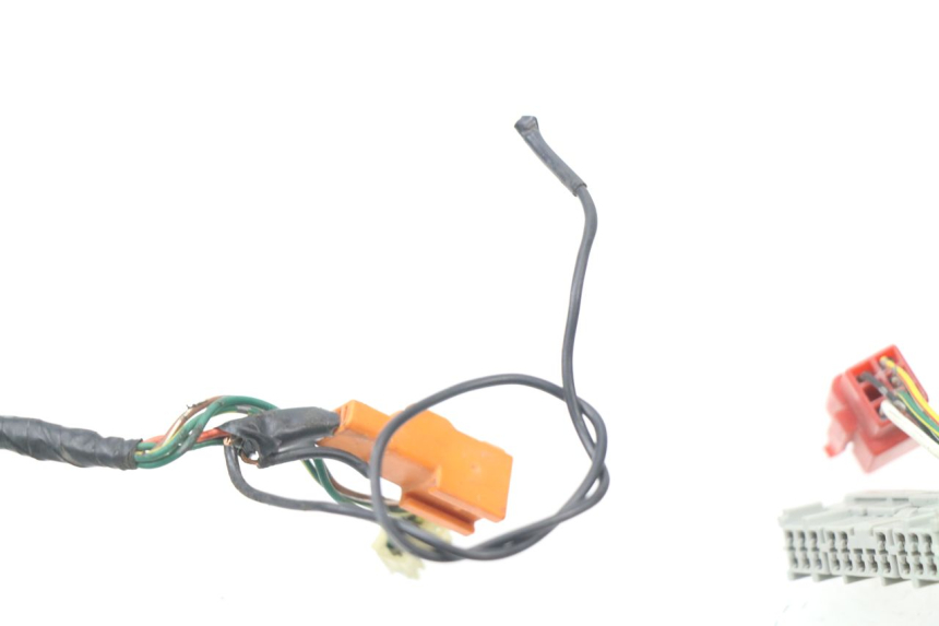 photo de WIRE HARNESS HONDA CBR 929 RR FIREBLADE 900 (2000 - 2001) - Distinctive features