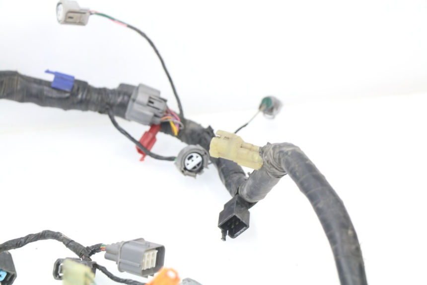 photo de WIRE HARNESS HONDA CBR 929 RR FIREBLADE 900 (2000 - 2001) - Focus on structure