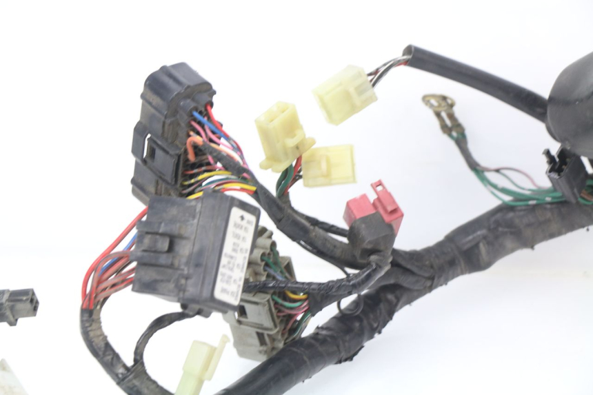 photo de WIRE HARNESS HONDA CBR 929 RR FIREBLADE 900 (2000 - 2001) - Alternative angle