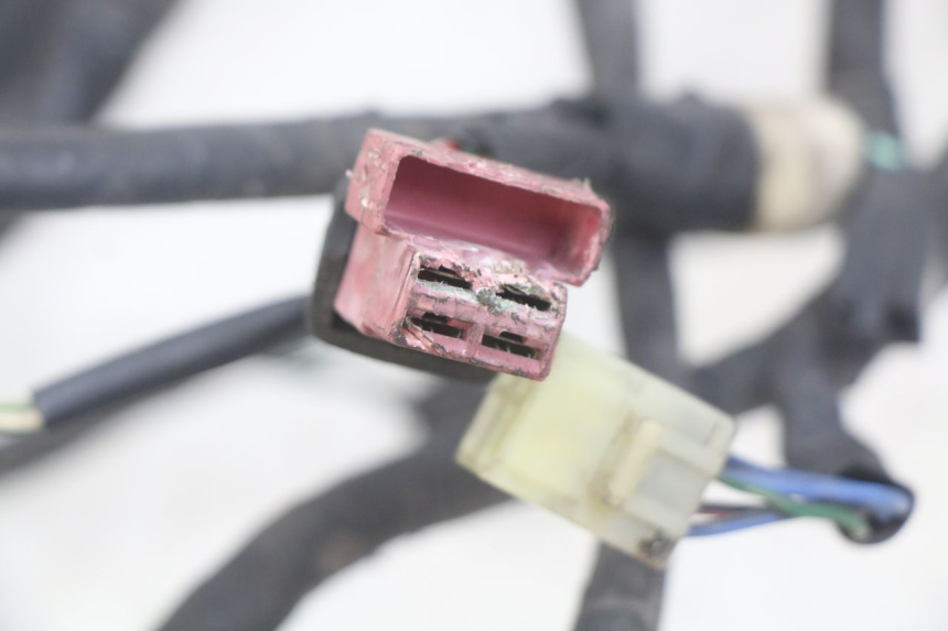 photo de WIRING HARNESS HONDA CBR F SC25 1000 (1989 - 1992) - Component detail