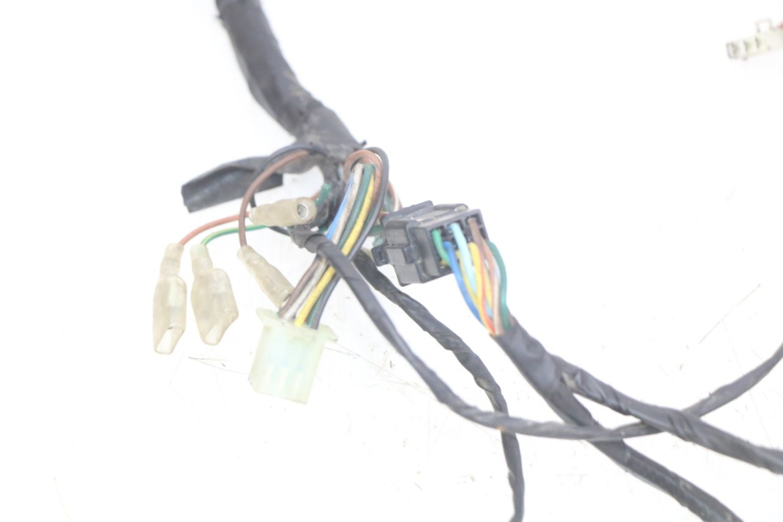 photo de WIRING HARNESS TGB CITY 2 50 (2009 - 2013) - Distinctive features