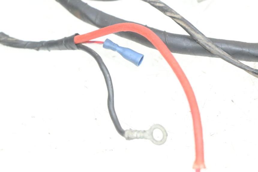 photo de WIRING HARNESS TGB CITY 2 50 (2009 - 2013) - Zoom on usage condition