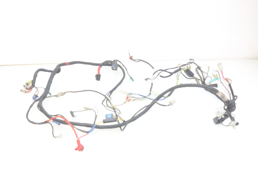 photo de WIRING HARNESS TGB CITY 2 50 (2009 - 2013) - Technical close-up