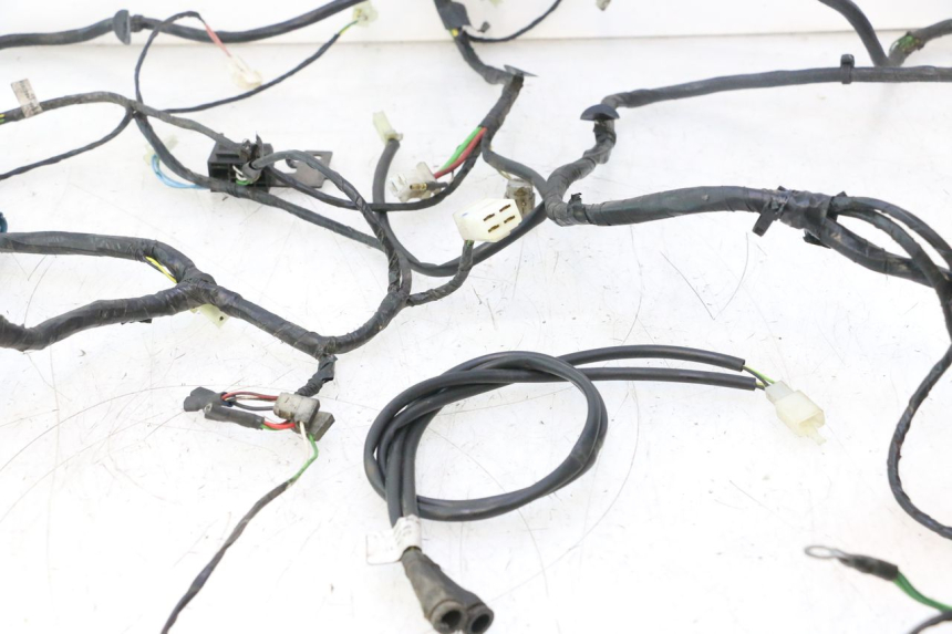 photo de WIRING HARNESS PEUGEOT CITYSTAR 2T 50 (2018 - 2021) - Fixing points details