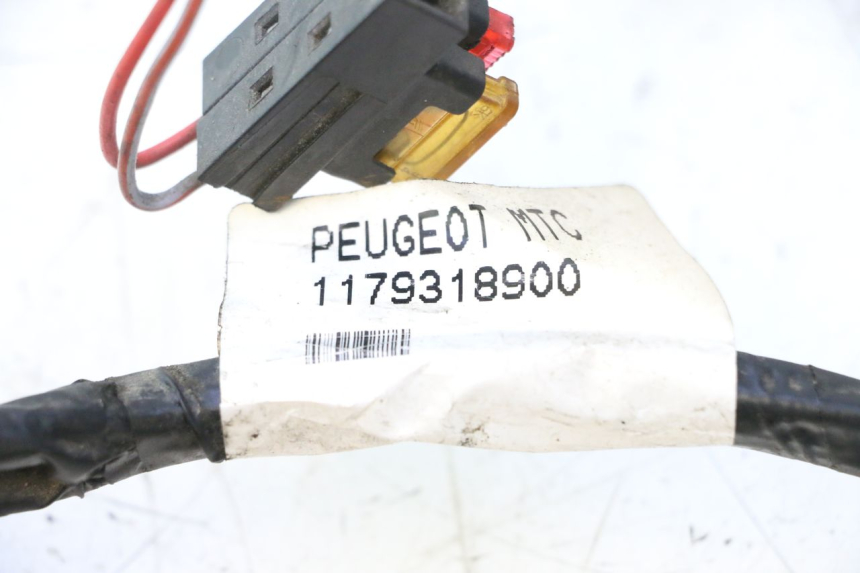 photo de WIRING HARNESS PEUGEOT CITYSTAR 2T 50 (2018 - 2021) - Surface and material condition