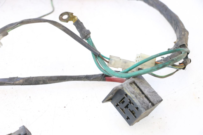 photo de WIRING HARNESS PEUGEOT CITYSTAR 125 (2011 - 2017) - Distinctive features