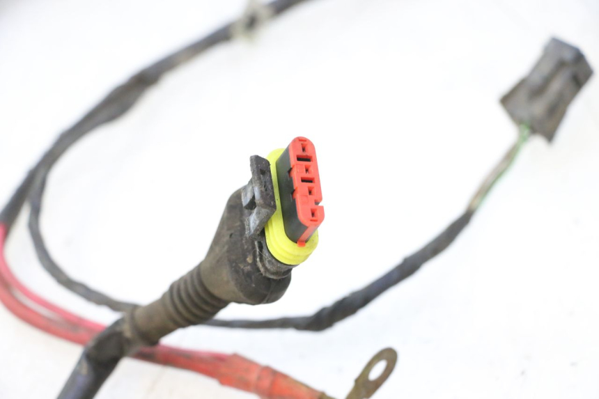 photo de WIRING HARNESS PEUGEOT CITYSTAR 125 (2011 - 2017) - Markings and original references