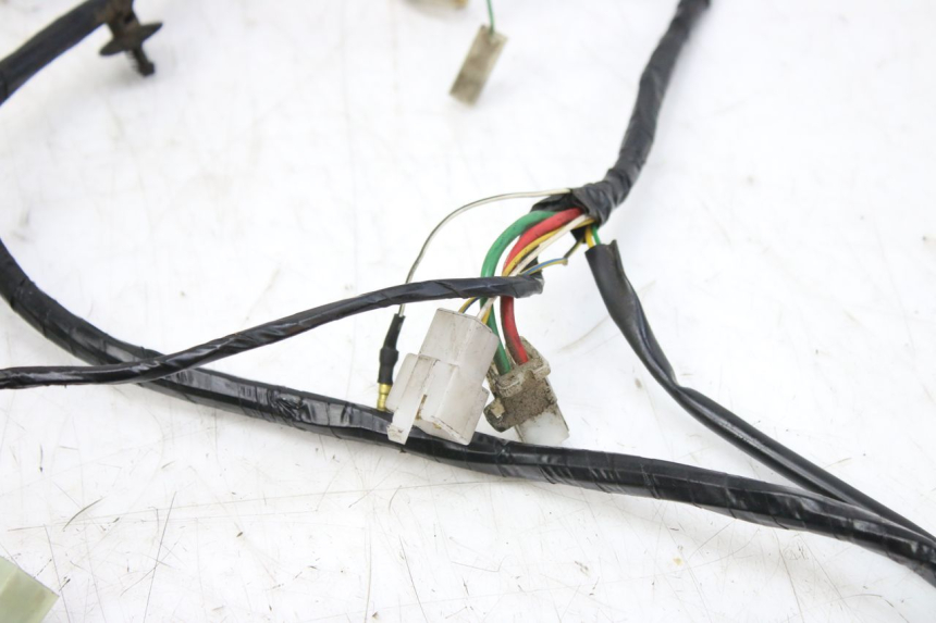 photo de WIRING HARNESS PEUGEOT CITYSTAR 50 (2013 - 2017) - Fixing points details