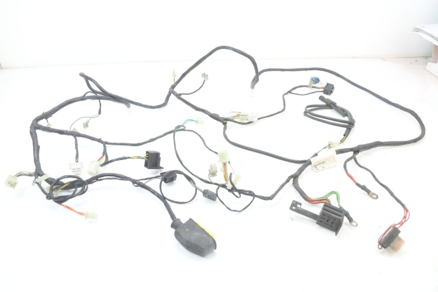 photo de WIRING HARNESS PEUGEOT CITYSTAR 50 (2013 - 2017) - Main view