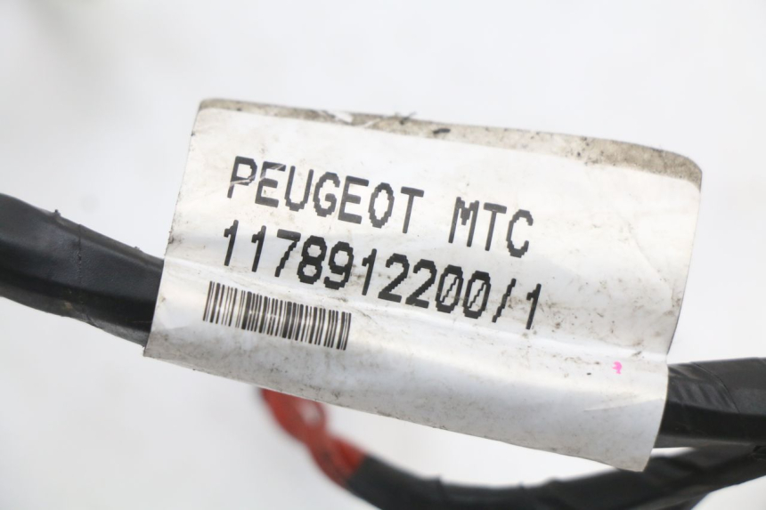 photo de WIRING HARNESS PEUGEOT CITYSTAR 50 (2013 - 2017) - Component detail