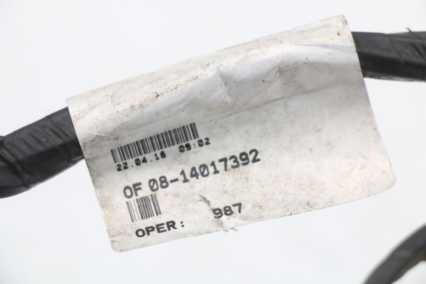 photo de WIRING HARNESS PEUGEOT CITYSTAR 50 (2013 - 2017) - Zoom on usage condition