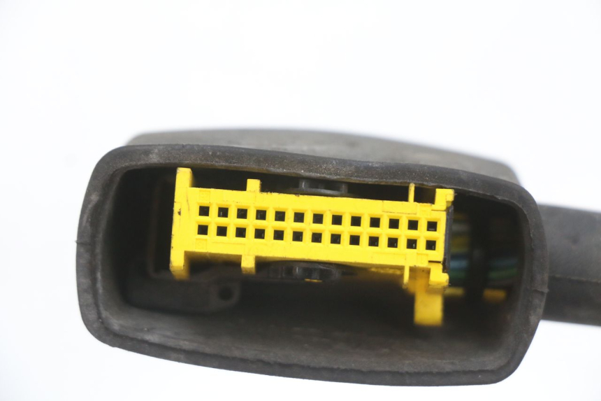 photo de WIRING HARNESS PEUGEOT CITYSTAR 50 (2013 - 2017) - Technical close-up