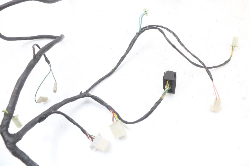 photo de WIRING HARNESS PEUGEOT CITYSTAR 50 (2013 - 2017) - Fixing points details