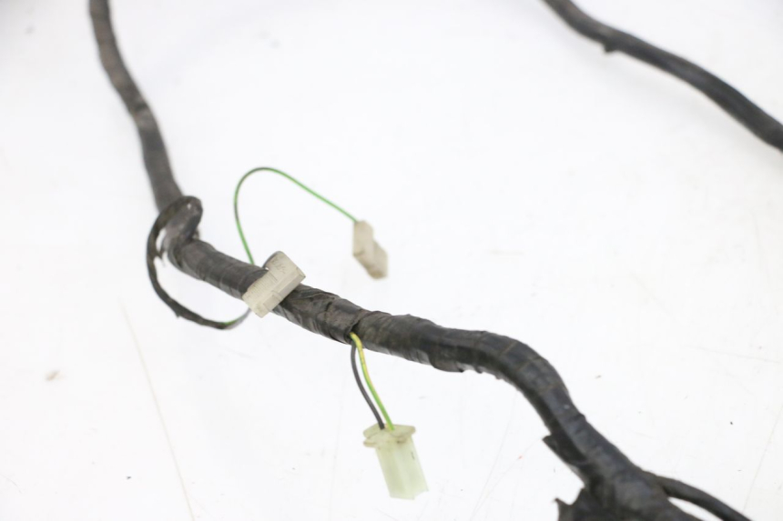 photo de WIRING HARNESS PEUGEOT CITYSTAR 50 (2013 - 2017) - Markings and original references