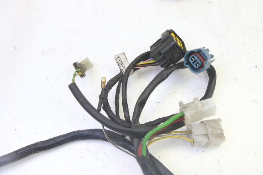 photo de WIRING HARNESS PEUGEOT CITYSTAR 50 (2013 - 2017) - Fixing points details