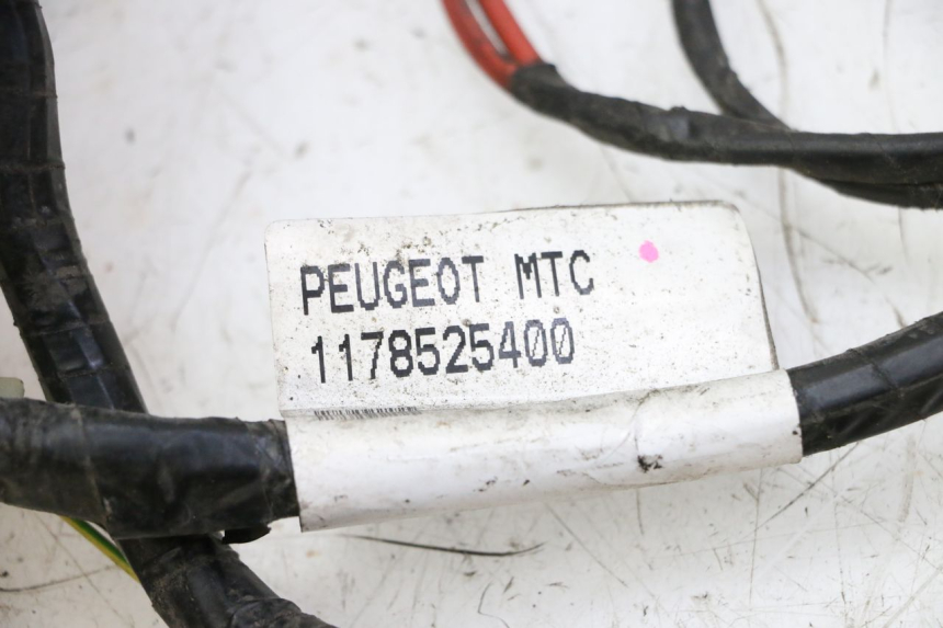 photo de WIRING HARNESS PEUGEOT CITYSTAR 50 (2013 - 2017) - Component detail
