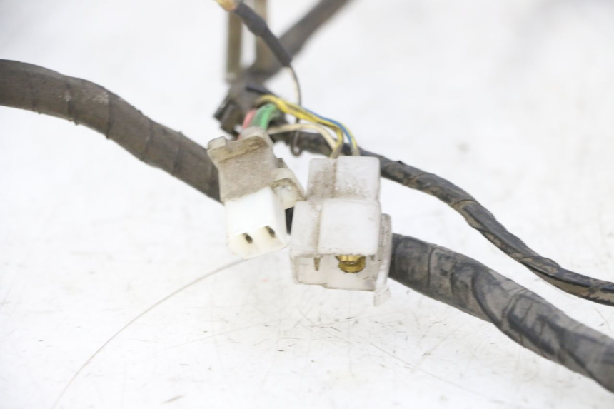 photo de WIRING HARNESS PEUGEOT CITYSTAR 50 (2013 - 2017) - Fixing points details