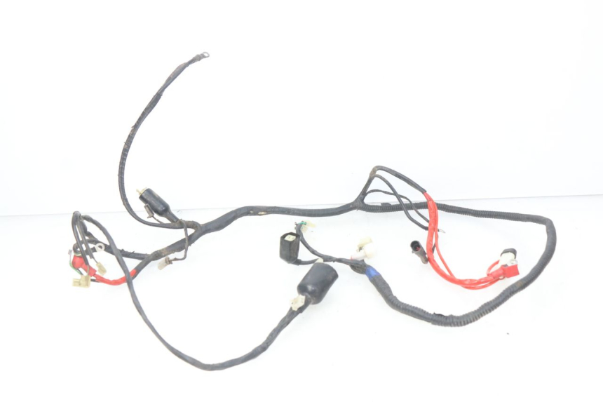 photo de WIRING HARNESS RIDE CLASSIC 2T 50 (2014 - 2022) - Main view