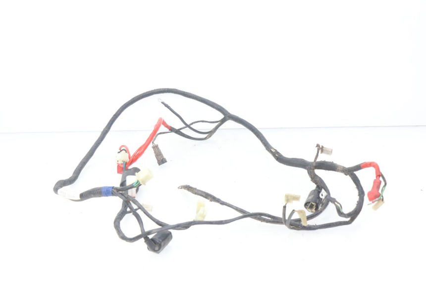 photo de WIRING HARNESS RIDE CLASSIC 2T 50 (2014 - 2022) - Component detail