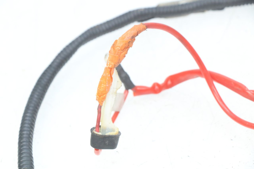 photo de WIRING HARNESS RIDE CLASSIC 2T 50 (2014 - 2022) - Component detail