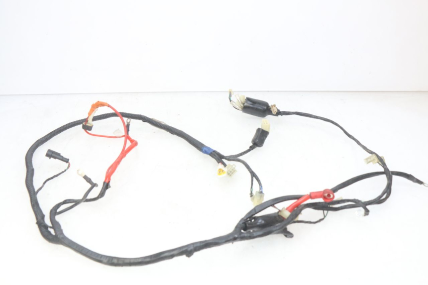 photo de WIRING HARNESS RIDE CLASSIC 2T 50 (2014 - 2022) - Zoom on usage condition