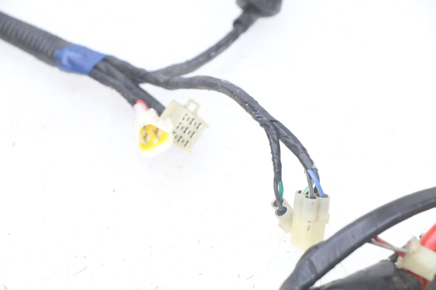 photo de WIRING HARNESS RIDE CLASSIC 2T 50 (2014 - 2022) - Alternative perspective
