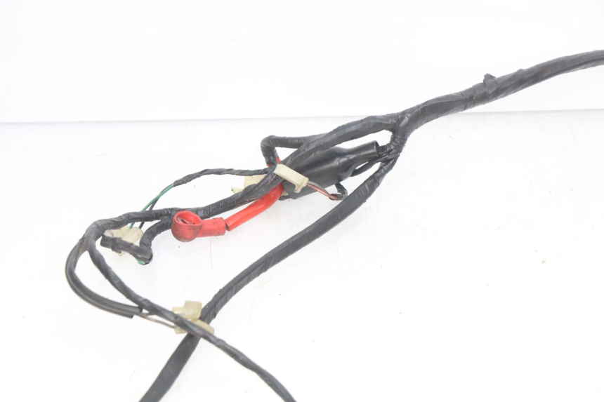 photo de WIRING HARNESS RIDE CLASSIC 2T 50 (2014 - 2022) - Technical close-up