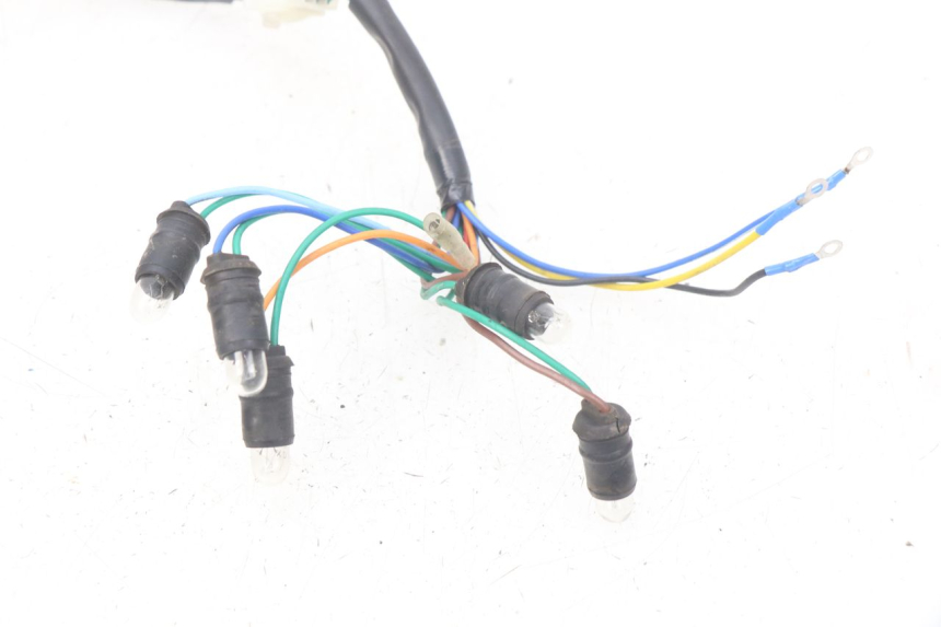 photo de INSTRUMENT CLUSTER WIRING HARNESS TNT MOTOR BOSTON 4T 50 (2018 - 2025) - Zoom on usage condition