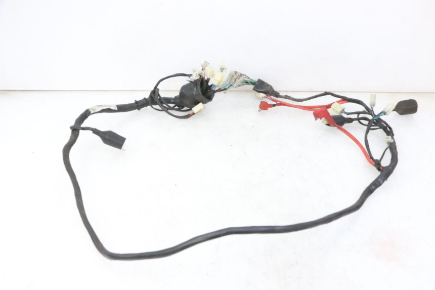 photo de WIRE HARNESS DAELIM BESBI 125 (2007 - 2008) - Alternative perspective