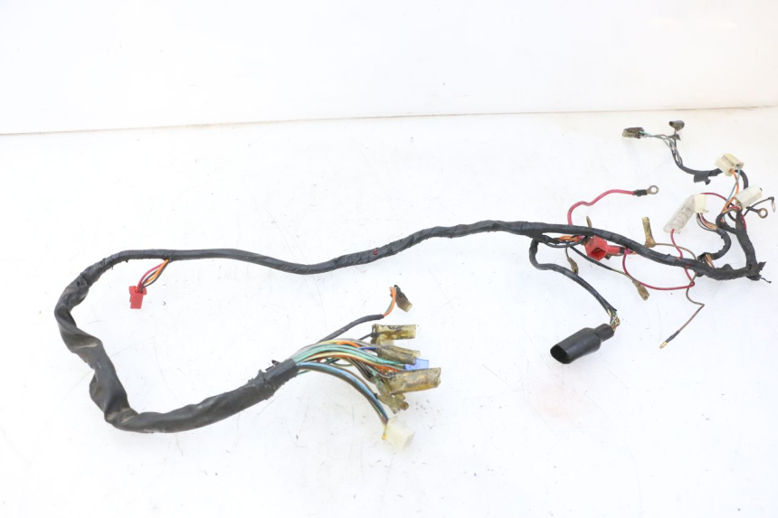 photo de WIRE HARNESS SKYTEAM DAX REPLICA 110 (2005 - 2015) - Component detail