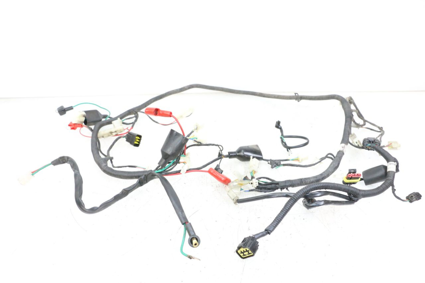 photo de WIRING HARNESS LONGJIA DIGITA 4T 50 (2019 - 2022) - Main view