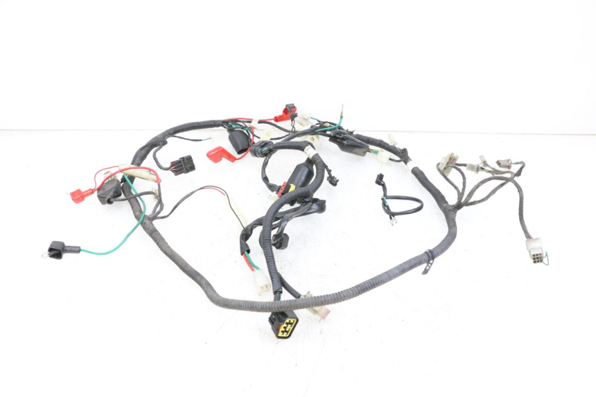 photo de WIRING HARNESS LONGJIA DIGITA 4T 50 (2019 - 2022) - Component detail