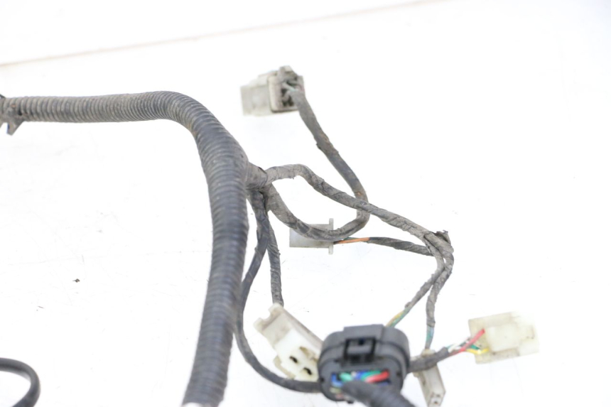 photo de WIRING HARNESS LONGJIA DIGITA 4T 50 (2019 - 2022) - Product overview