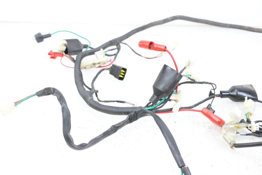 photo de WIRING HARNESS LONGJIA DIGITA 4T 50 (2019 - 2022) - Checked used part