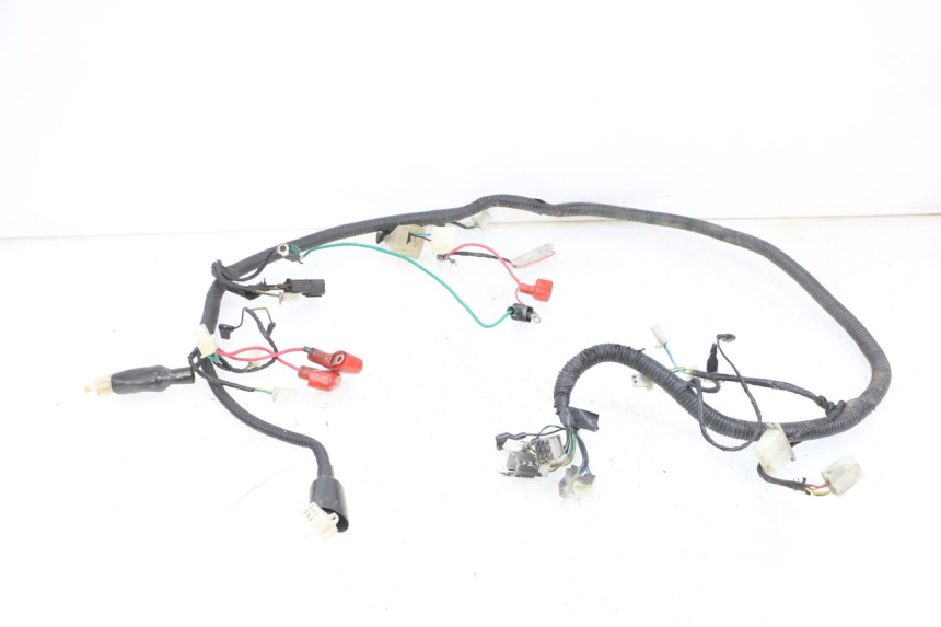 photo de WIRING HARNESS LONGJIA DIGITA 4T 50 (2019 - 2022) - Main view