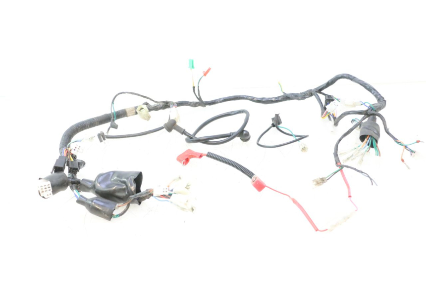 photo de WIRE HARNESS MASH DIRT TRACK 50 (2018 - 2020) - Component detail